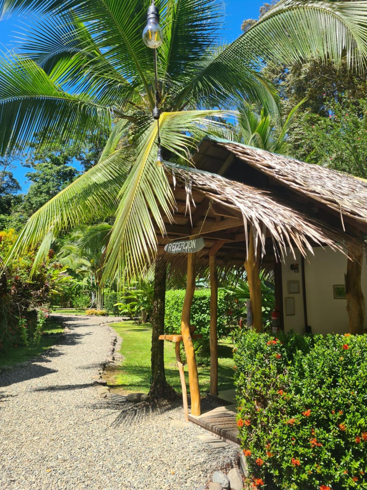 Villa La Rana De Cahuita Exterior foto